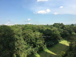 Tree House (D23), Condominium #145850972